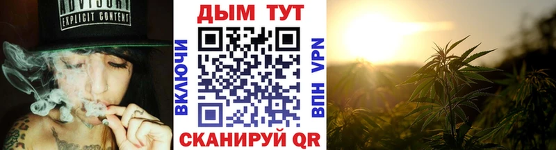 купить закладку  Чехов  Бошки марихуана индика 